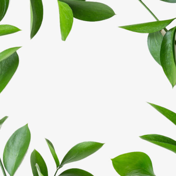 绿色叶子背景装饰