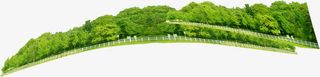 春季景观植物树林免抠