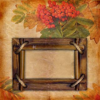 秋天树叶与相框免抠