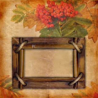 秋天树叶与相框免抠