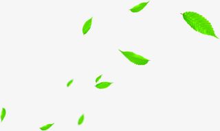 飘扬海报夏日绿色植物树叶免抠