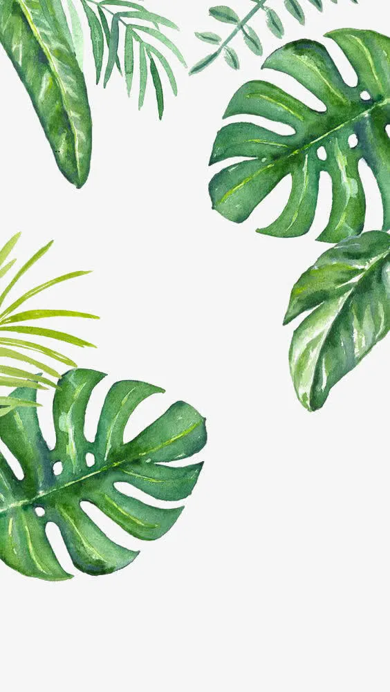 绿色植物背景免抠
