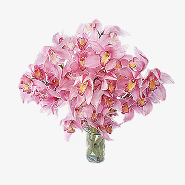 一束花免抠