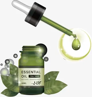 天然茶树油精华液矢量素材免抠