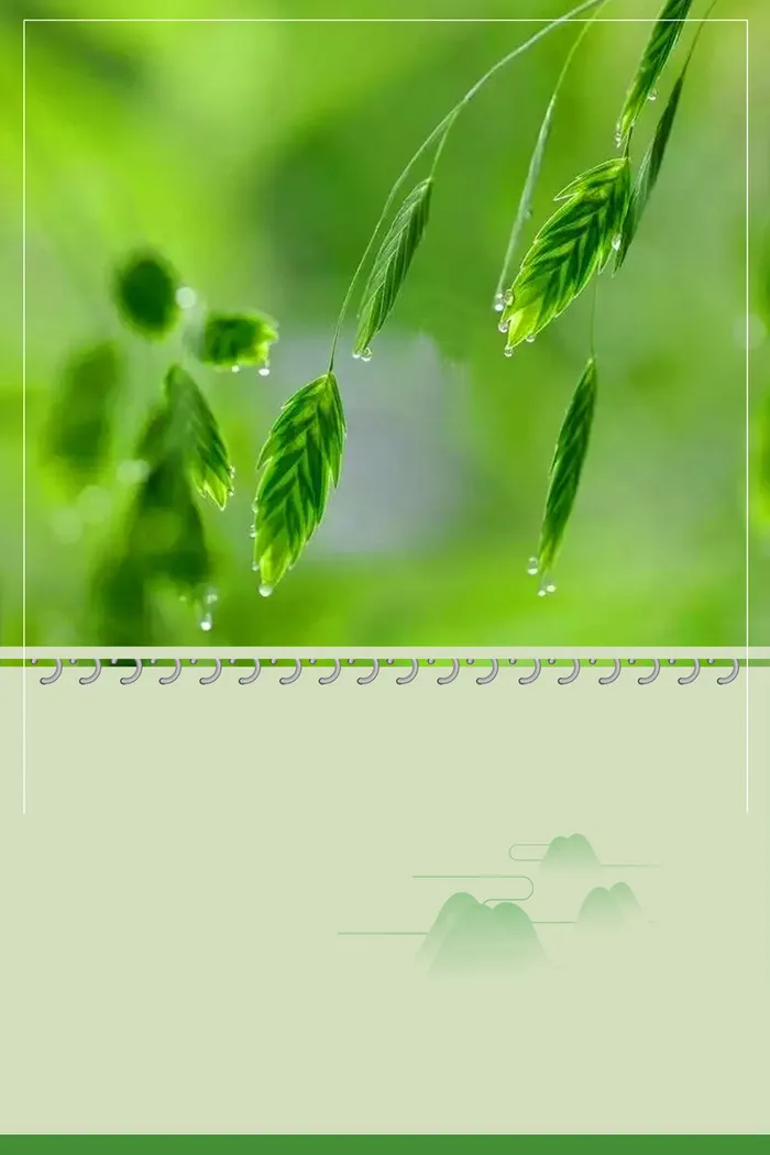 绿色简约谷雨节气海报高清