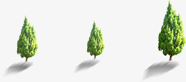 春天野外大树树木树影免抠