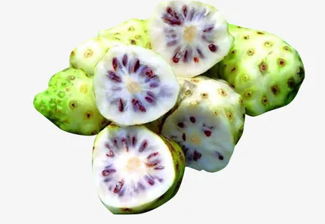 绿色的诺丽果免抠