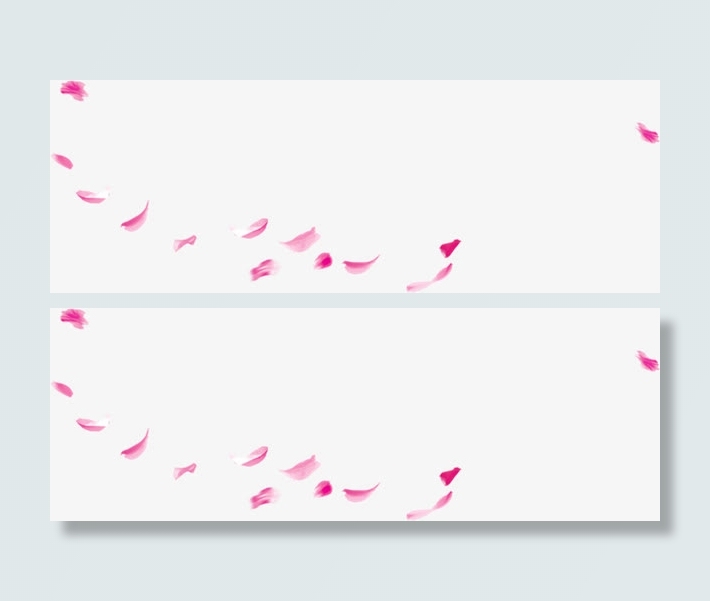 飘落的花瓣花朵免抠