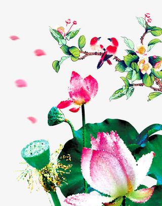 荷花叶子背景素材