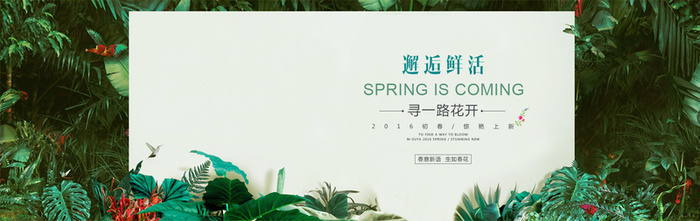 森林边框背景高清