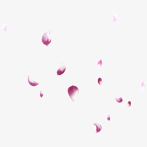 漂浮花瓣免抠