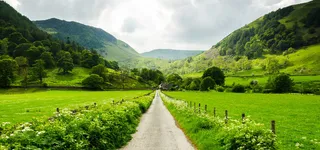 乡野小路绿色背景高清