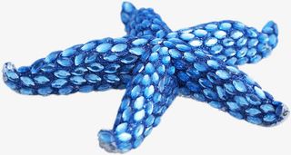 蓝色海星沙滩夏日效果免抠