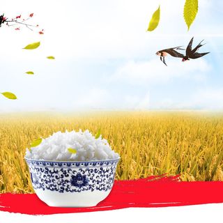 粮食大米食品PSD分层主图背景素材高清