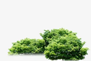 树丛免抠