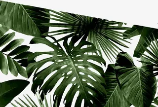 芭蕉树叶手绘图案免抠