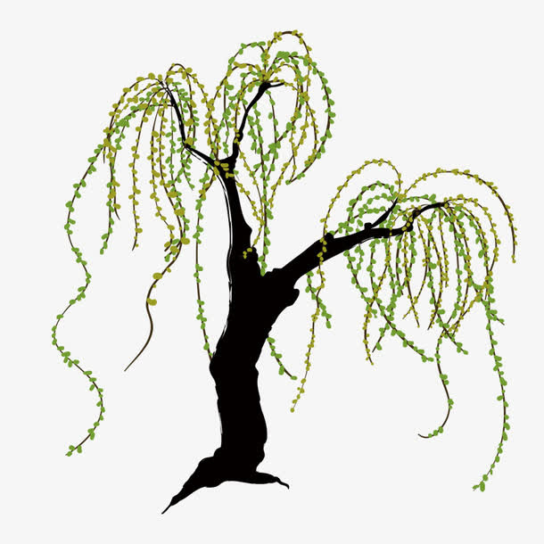 绿色手绘柳条免抠