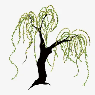 绿色手绘柳条免抠