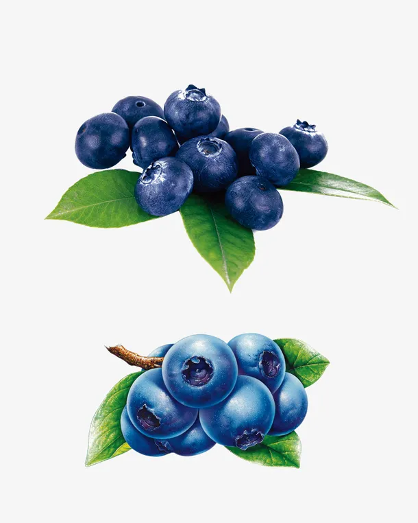 富含花青素的抗氧化食物蓝莓免抠