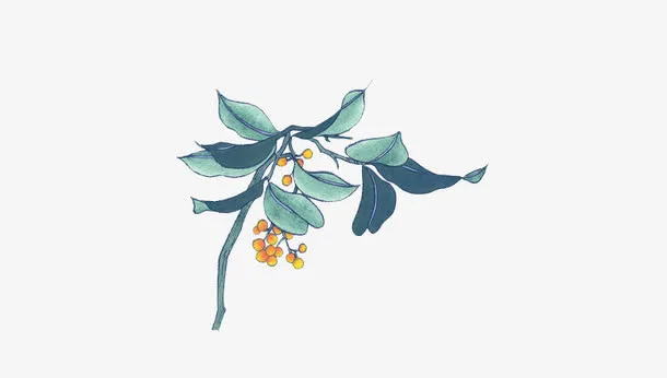 唯美月桂花免抠