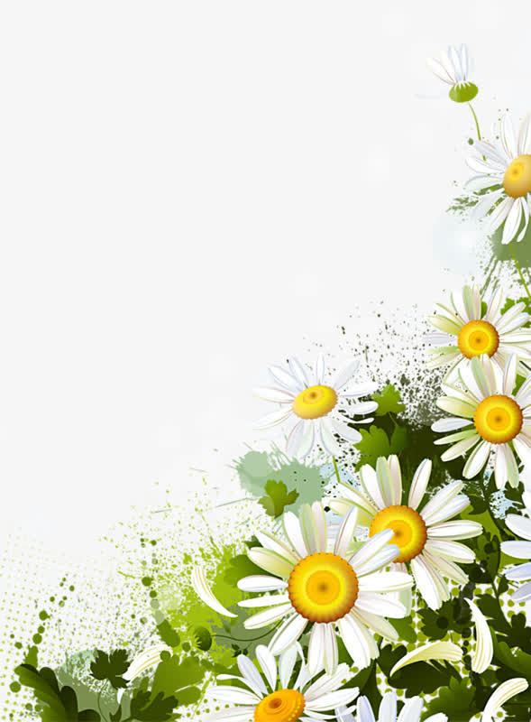 手绘贡菊免抠