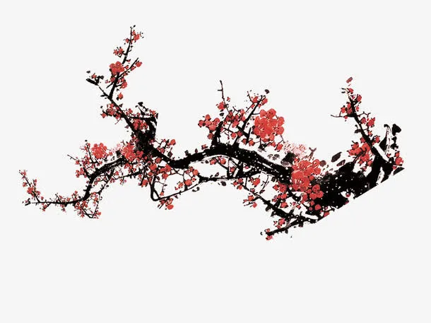 国画梅花腊梅免抠