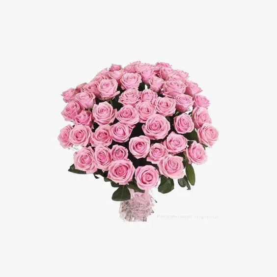 玫瑰花束免抠