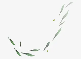 飘落的叶片免抠
