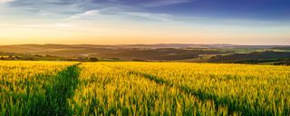 风景背景图高清