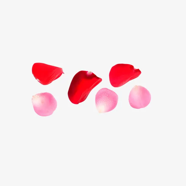 红色玫瑰花瓣免抠