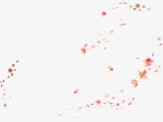 绘画植物花朵飘扬装饰特效免抠