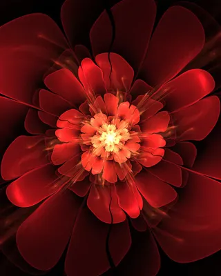 盛开的红色花朵免抠