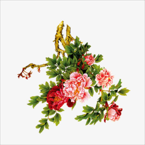 装饰花免抠