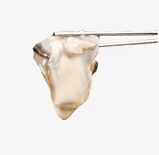 新鲜海蛎肉免抠