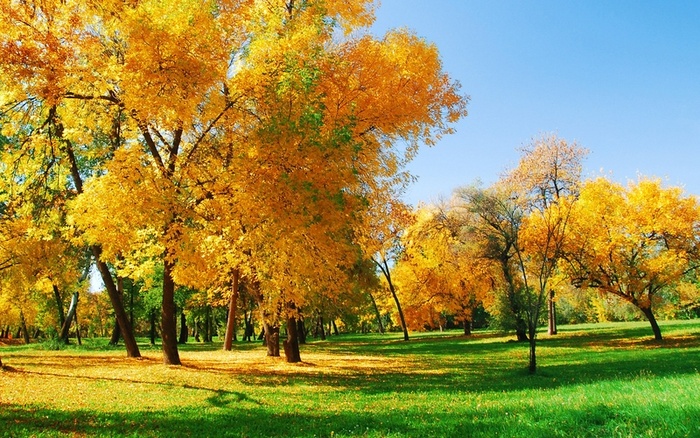 自然风景背景图 (10)高清