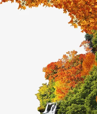 黄色唯美秋日树叶免抠