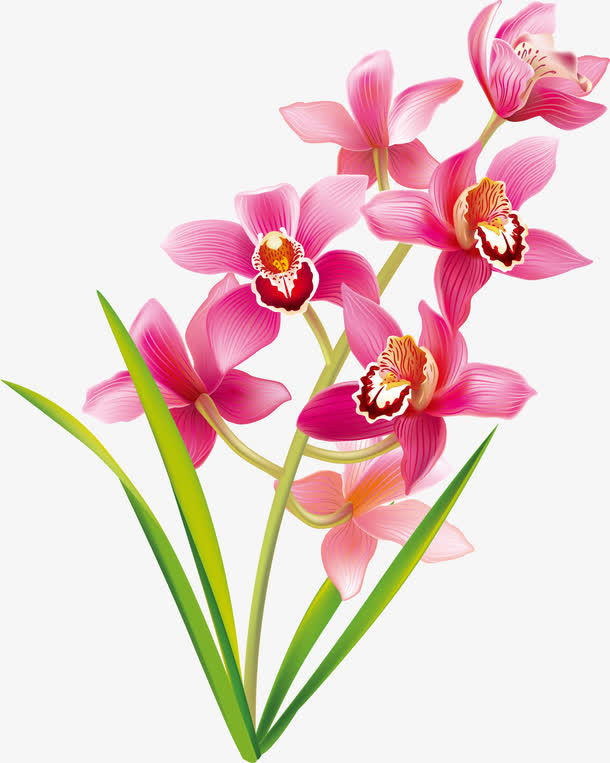 一束鲜花免抠