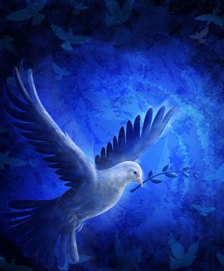 衔着橄榄枝的白鸽免抠