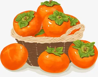 秋天柿子丰收原创素材免抠