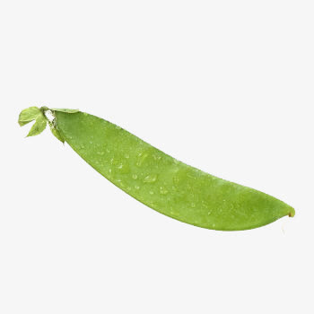 新鲜荷兰豆免抠