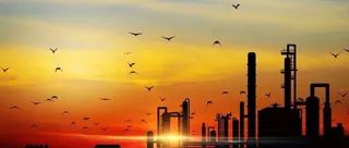 时光易老，不负流年免抠