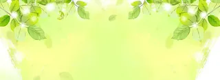绿色树叶淘宝背景