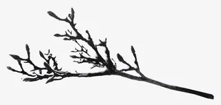 冰雪覆盖枯树树枝免抠