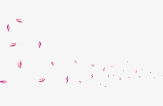 粉色花瓣素材免抠