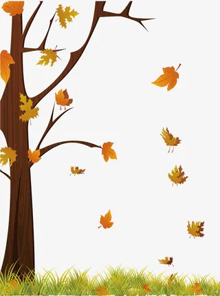 插画风格梧桐落叶矢量免抠