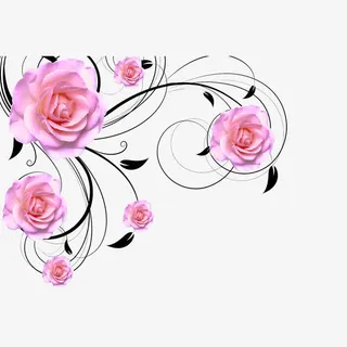 玫瑰免抠