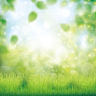 夏日清新草地亮光免抠