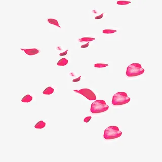 桃花素材修饰花瓣免抠