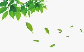 漂浮绿叶免抠