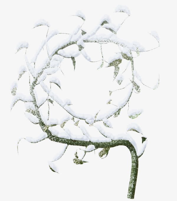 树枝免抠